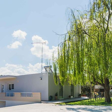 Appartamento Liofyto House Private Garden Platanés Esterno foto